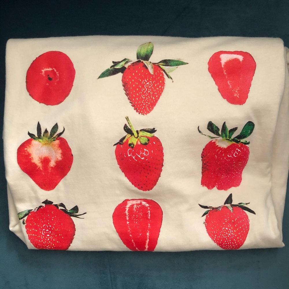 NWT Free People Strawberry Shirt
